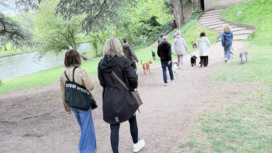 group of people walking by the river